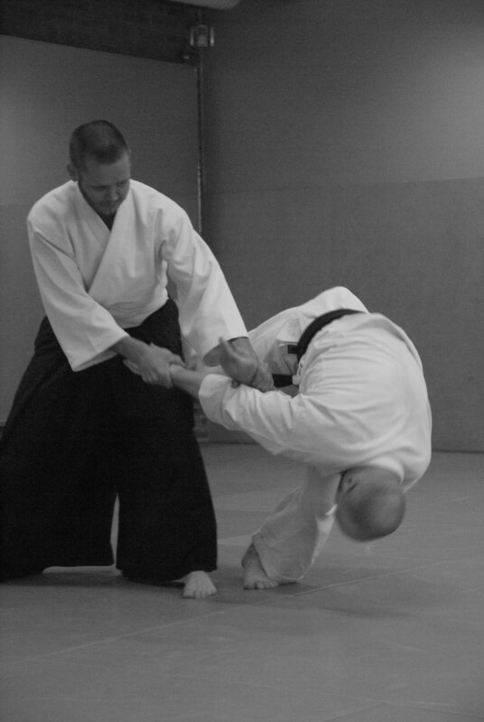 aikido-tekniker